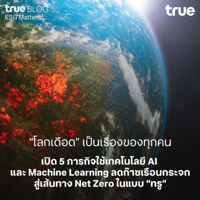 “โลกเดือด” เป็นเรื่องของทุกคน! เปิด 5 ภารกิจใช้เทคโนโลยี AI และ Machine Learning ลดก๊าซเรือนกระจก สู่เส้นทาง Net Zero ในแบบ “ทรู”