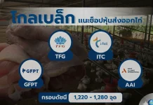 โกลเบล็ก แนะช็อปหุ้นส่งออกไก่