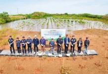 TTA ผนึกพันธมิตร ฟื้นฟูป่าชายเลนกว่า 740 ไร่ ในกิจกรรม “ปลูกเพื่อโลก สู่อนาคตยั่งยืน”