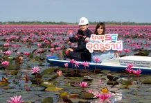 ทรู หนุนเที่ยวไทยจัดเต็ม 5G “ทะเลบัวแดง” รองรับนักท่องเที่ยวไทย-ต่างชาติ ตามรอย “ลิซ่า”