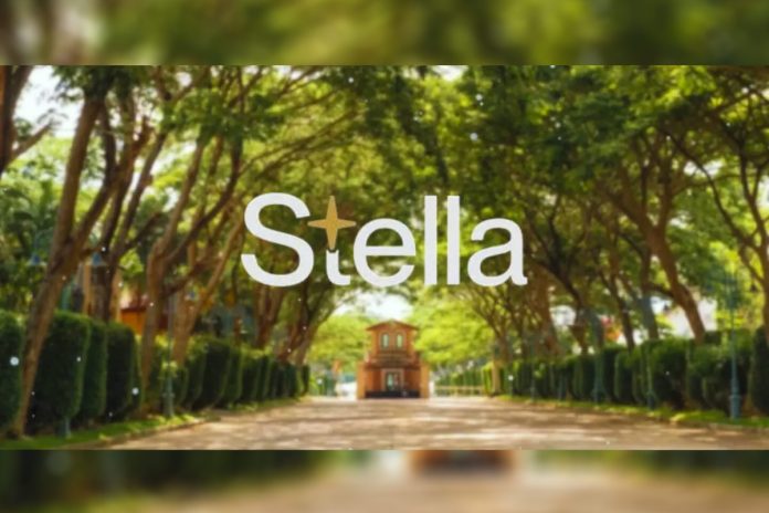 stella-04 สเตลล่า