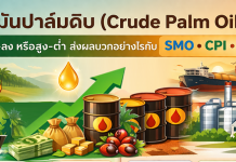 หาเหตุผล SMO ทำไมน่าสนใจ