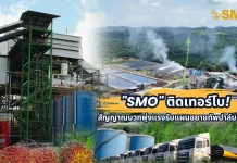 SMO ติดเทอร์โบ! สัญญาณบวกพุ่งแรงรับแผนขยายทัพปาล์มน้ำมัน