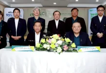 BLC ไฟเขียวปันผล 81% ตอกย้ำหุ้นเด่นสาย Dividend