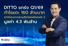 DITTO แกร่ง Q1/69 กำไรแตะ 160 ล้านบาท Backlog 5.3 พันล้านบาท