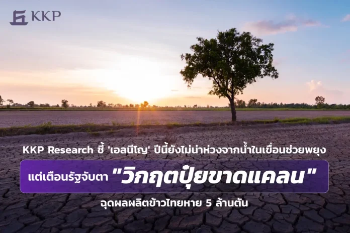 KKP Research ชี้ ‘เอลนีโญ’ ปีนี้ยังไม่น่าห่วงจากน้ำในเขื่อนช่วยพยุง แต่เตือนรัฐจับตา “วิกฤตปุ๋ยขาดแคลน” ฉุดผลผลิตข้าวไทยหาย 5 ล้านตัน