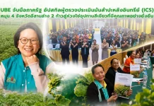 UBE จับมือรัฐอัปสกิลผู้ตรวจประเมินมันสำปะหลังอินทรีย์