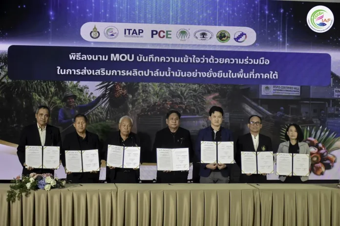 PCE เร่งเครื่องปาล์มยั่งยืน จับมือ ม.อ.-อุทยานวิทย์ภาคใต้ สร้างมูลค่าเพิ่มผ่าน RSPO-คาร์บอนเครดิตเชื่อมตลาดโลก