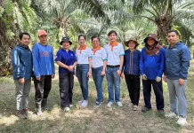 ผู้บริหาร PHAT ลงพื้นที่สวนปาล์มเกษตรกรต้นน้ำ หนุนคุณภาพผลผลิตปาล์มน้ำมันไทย
