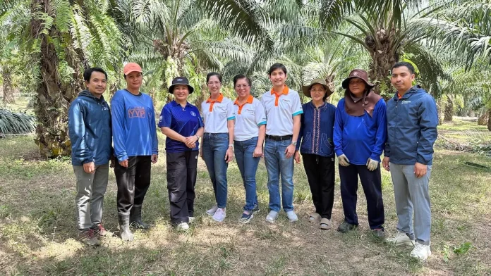 ผู้บริหาร PHAT ลงพื้นที่สวนปาล์มเกษตรกรต้นน้ำ หนุนคุณภาพผลผลิตปาล์มน้ำมันไทยสู่มาตรฐานโลก