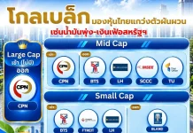 โกลเบล็ก มองหุ้นไทยผันผวน ชู FTSE Rebalance กรอบ 1570-1630 วิลาสินี บุญมาสูงทรง และ วัชเรนทร์ จงยรรยง บล.โกลเบล็ก วิเคราะห์แนวโน้ม SET Index และหุ้น FTSE Rebalance