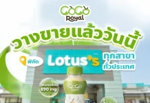 PLUS ส่ง COCO ROYAL น้ำมะพร้าว 100% วางขายโลตัสทั่วประเทศ COCO ROYAL น้ำมะพร้าวแท้ 100% โดย บมจ.โรแยล พลัส (PLUS) วางจำหน่ายที่โลตัสทั่วประเทศ