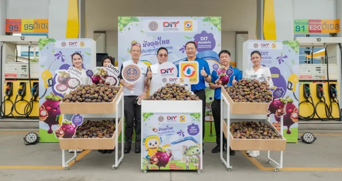 SUSCO จับมือ กรมการค้าภายใน เติมน้ำมัน 500 บาท แจกมังคุดใต้ฟรี