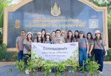 TEKA รวมพลังปลูกป่า เพิ่มพื้นที่สีเขียว มุ่งขับเคลื่อนองค์กรสู่ความยั่งยืน ผู้บริหารและพนักงาน บริษัท ฑีฆาก่อสร้าง จำกัด (มหาชน) หรือ TEKA ร่วมจัดกิจกรรมปลูกป่า ณ ศูนย์ศึกษาธรรมชาติกองทัพบก สถานตากอากาศบางปู
